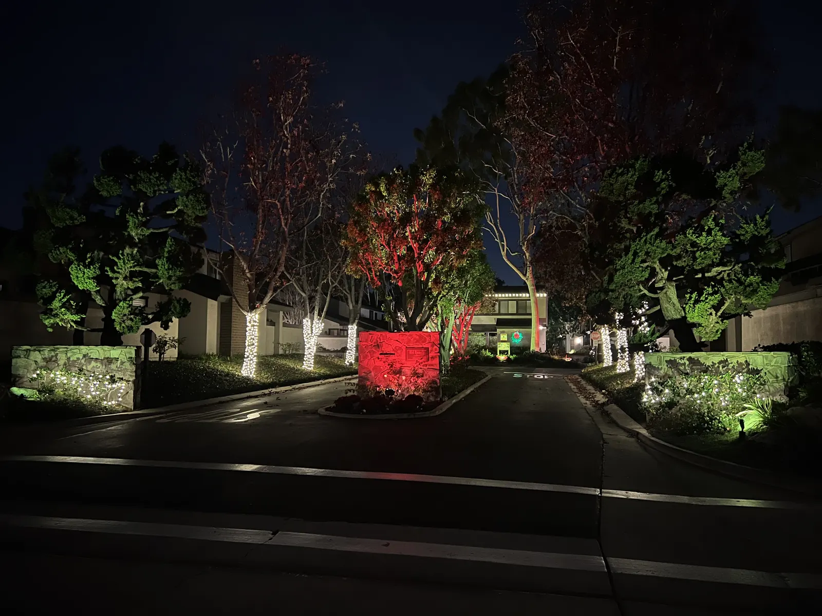 Large property entrance with uplit trees and red light-wrapped trunks along the drive