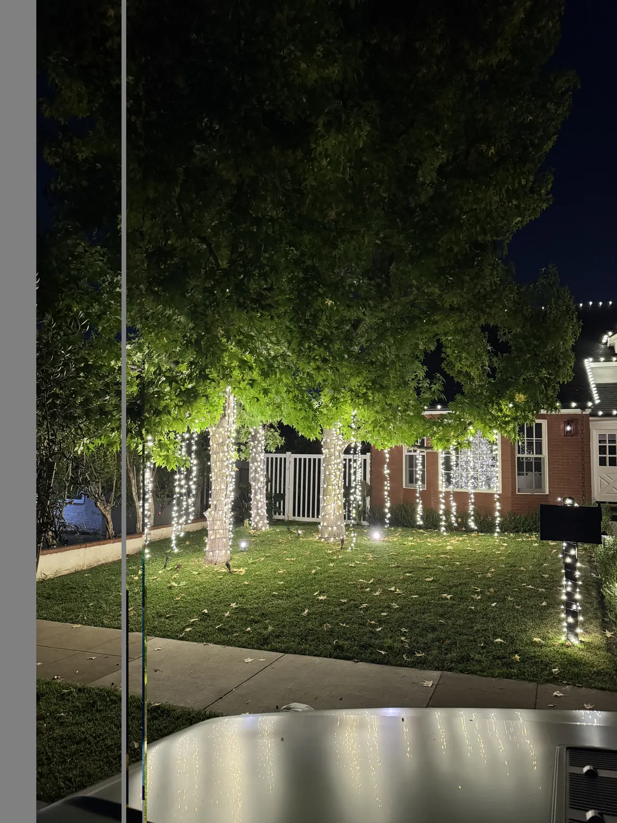 Front yard in Glendale with tree trunks wrapped in warm white lights
