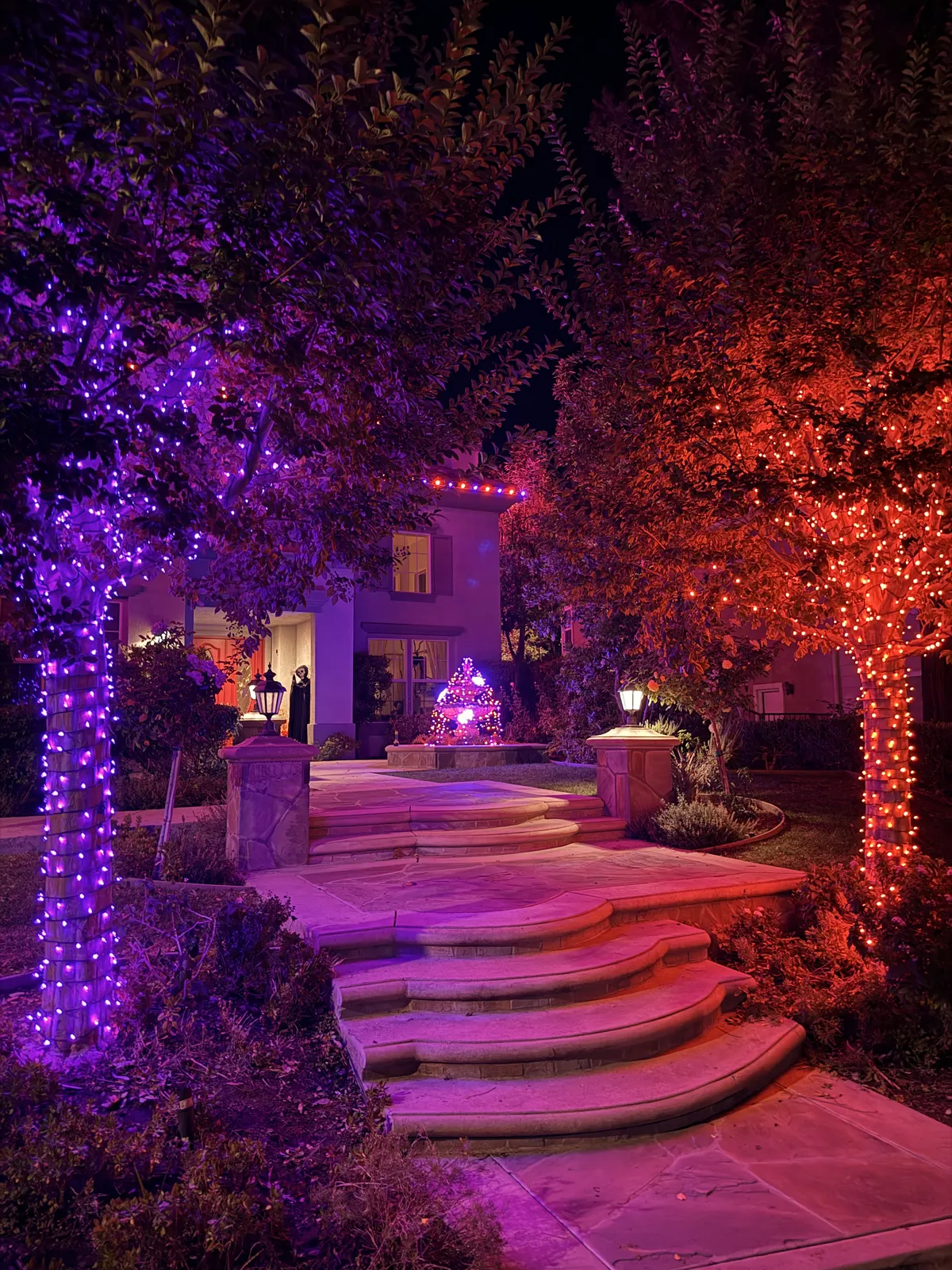 Halloween lighting with purple and orange tree wrapping and pathway lights