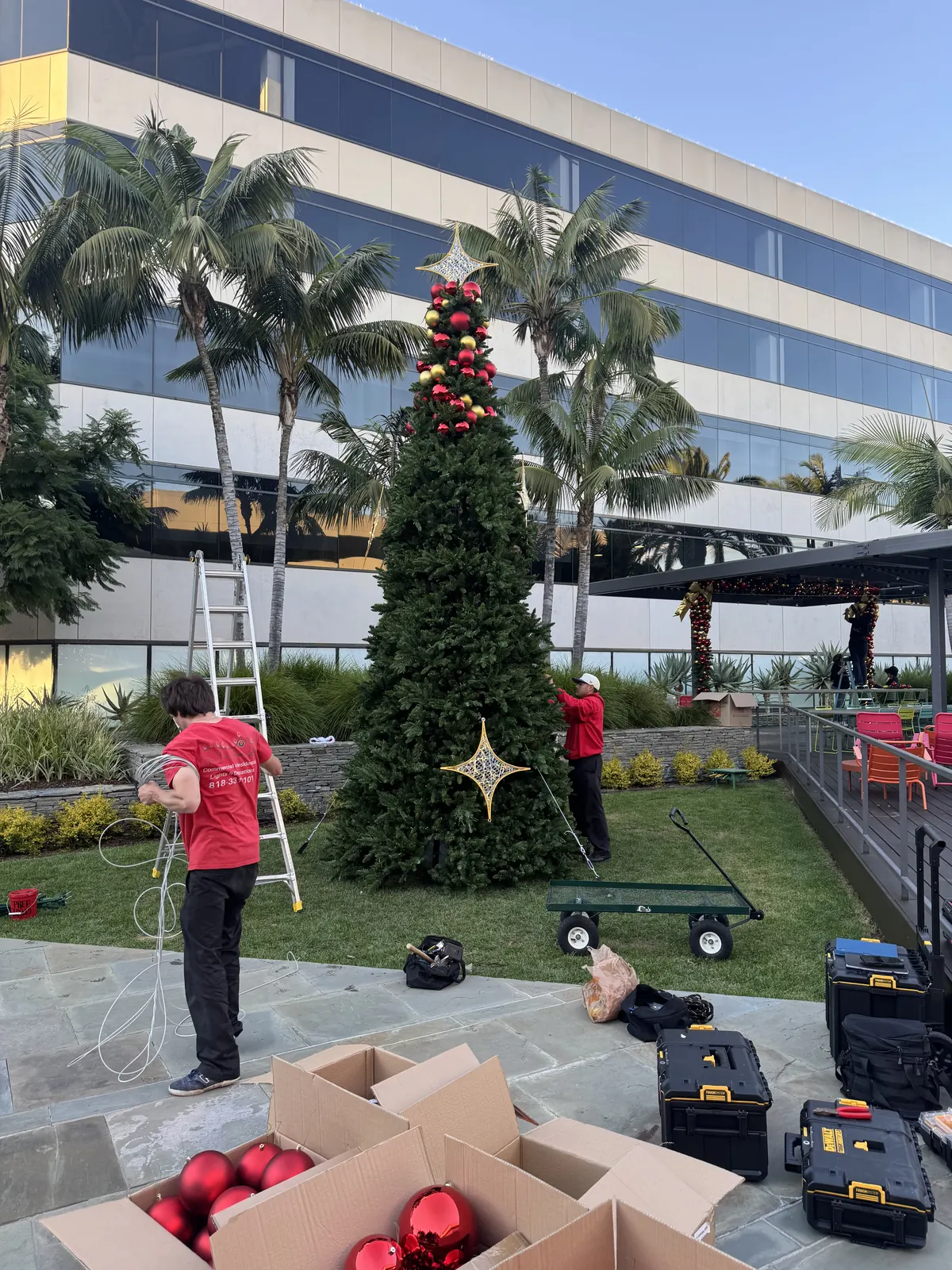 Crew setting up a large outdoor Christmas tree with red and gold ornaments at an office building in Santa Monica